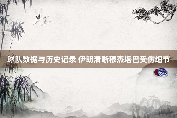 球队数据与历史记录 伊朗清晰穆杰塔巴受伤细节