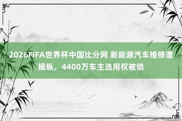 2026FIFA世界杯中国比分网 新能源汽车维修遭操纵,4400万车主选用权被锁