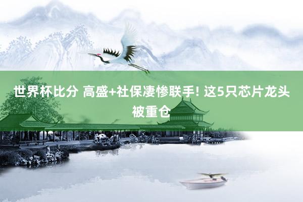 世界杯比分 高盛+社保凄惨联手! 这5只芯片龙头被重仓