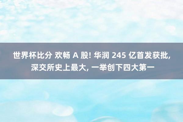 世界杯比分 欢畅 A 股! 华润 245 亿首发获批， 深交所史上最大， 一举创下四大第一