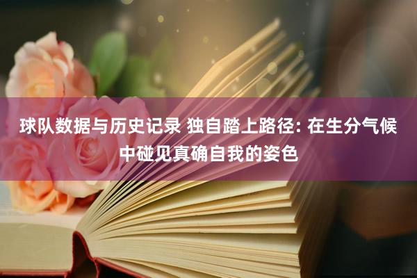 球队数据与历史记录 独自踏上路径: 在生分气候中碰见真确自我的姿色