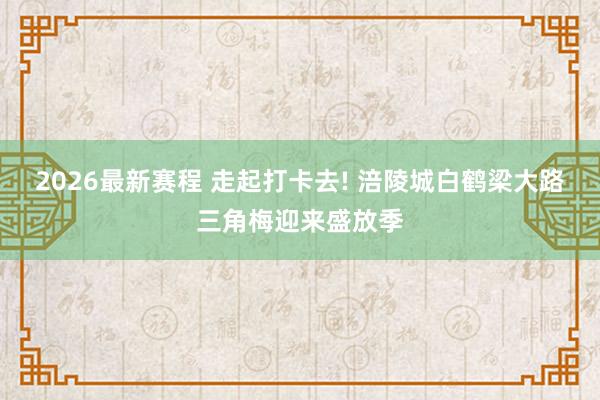 2026最新赛程 走起打卡去! 涪陵城白鹤梁大路三角梅迎来盛放季
