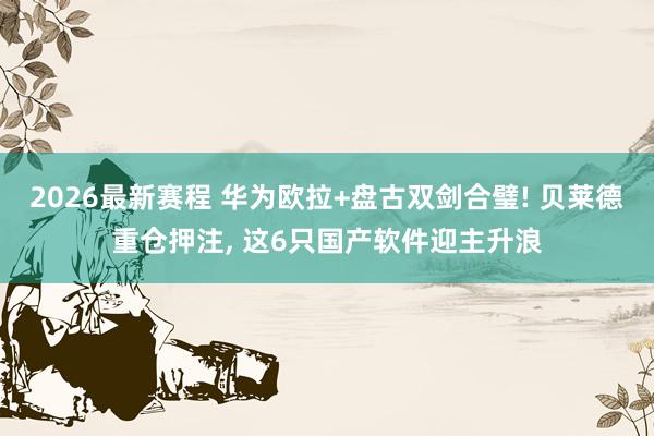2026最新赛程 华为欧拉+盘古双剑合璧! 贝莱德重仓押注, 这6只国产软件迎主升浪