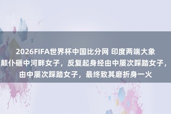 2026FIFA世界杯中国比分网 印度两端大象河畔打斗，一头大象颠仆砸中河畔女子，反复起身经由中屡次踩踏女子，最终致其磨折身一火