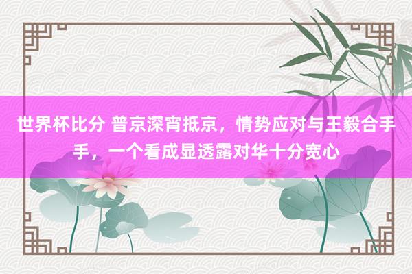 世界杯比分 普京深宵抵京,情势应对与王毅合手手,一个看成显透露对华十分宽心