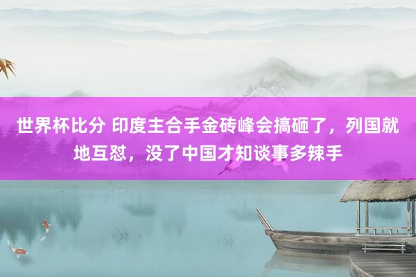 世界杯比分 印度主合手金砖峰会搞砸了,列国就地互怼,没了中国才知谈事多辣手