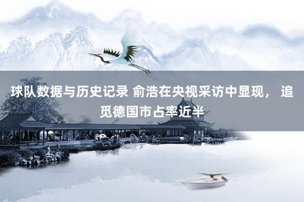 球队数据与历史记录 俞浩在央视采访中显现， 追觅德国市占率近半