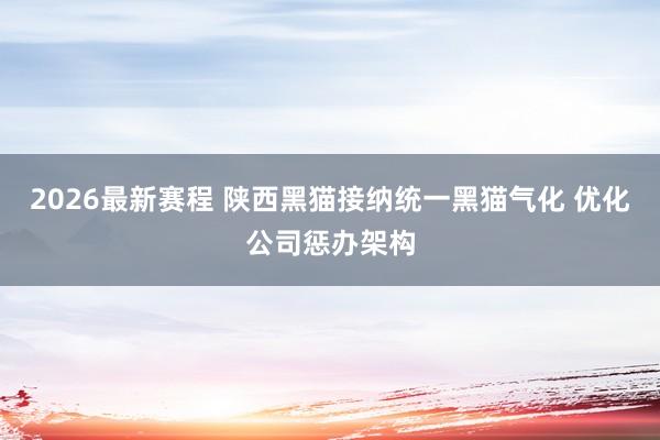 2026最新赛程 陕西黑猫接纳统一黑猫气化 优化公司惩办架构