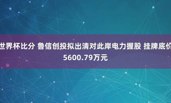 世界杯比分 鲁信创投拟出清对此岸电力握股 挂牌底价5600.79万元