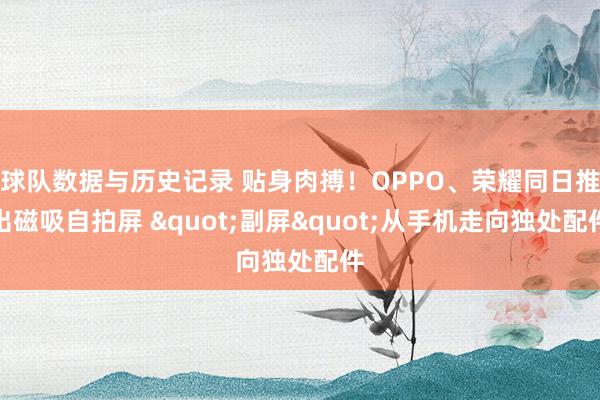 球队数据与历史记录 贴身肉搏！OPPO、荣耀同日推出磁吸自拍屏 "副屏"从手机走向独处配件