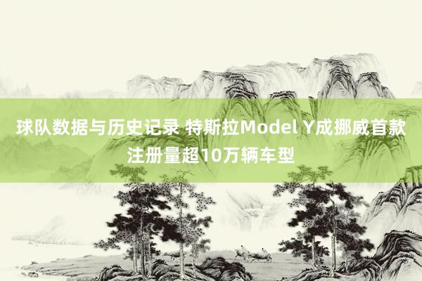 球队数据与历史记录 特斯拉Model Y成挪威首款注册量超10万辆车型
