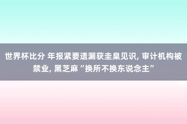 世界杯比分 年报紧要遗漏获圭臬见识, 审计机构被禁业, 黑芝麻“换所不换东说念主”