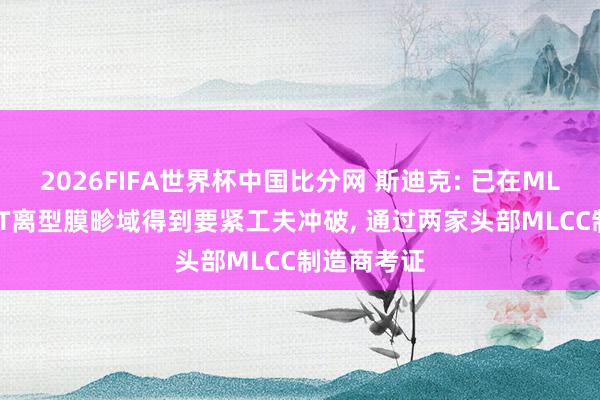 2026FIFA世界杯中国比分网 斯迪克: 已在MLCC专用PET离型膜畛域得到要紧工夫冲破, 通过两家头部MLCC制造商考证
