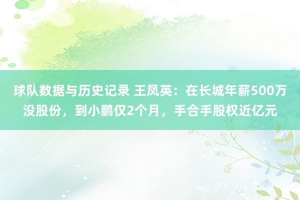 球队数据与历史记录 王凤英:在长城年薪500万没股份,到小鹏仅2个月,手合手股权近亿元