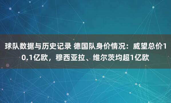 球队数据与历史记录 德国队身价情况:威望总价10.1亿欧,穆西亚拉、维尔茨均超1亿欧