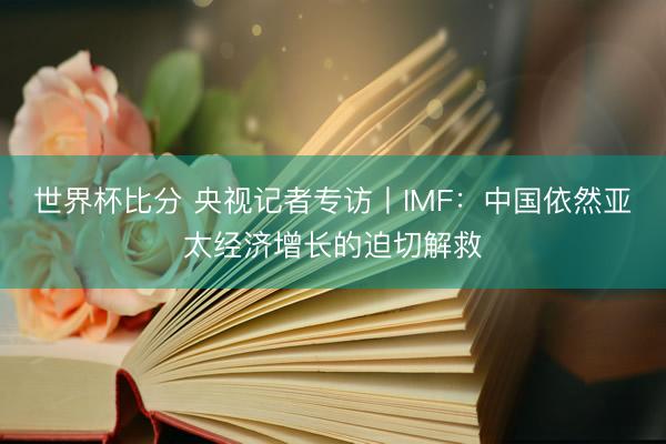 世界杯比分 央视记者专访丨IMF:中国依然亚太经济增长的迫切解救