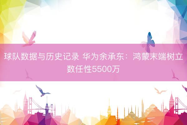 球队数据与历史记录 华为余承东:鸿蒙末端树立数任性5500万
